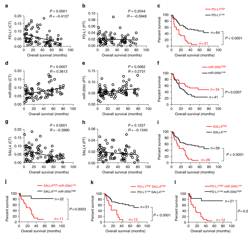 shRNA慢病毒載體構(gòu)建-輝駿生物.png shRNA慢病毒載體構(gòu)建-輝駿生物.png
