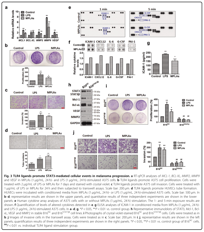 載體構(gòu)建服務(wù)-客戶文獻(xiàn)-輝駿生物.png 載體構(gòu)建服務(wù)-客戶文獻(xiàn)-輝駿生物.png