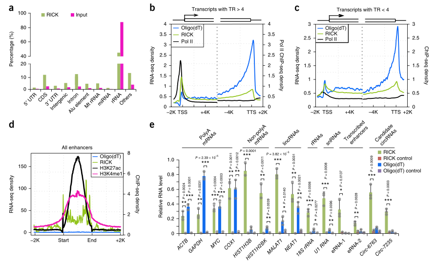 LC-MS/MS蛋白質(zhì)譜鑒定-客戶文獻-輝駿生物.png LC-MS/MS蛋白質(zhì)譜鑒定-客戶文獻-輝駿生物.png