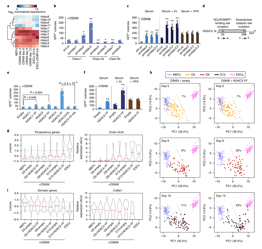 LC-MS/MS蛋白質(zhì)譜鑒定-客戶文獻-輝駿生物.png LC-MS/MS蛋白質(zhì)譜鑒定-客戶文獻-輝駿生物.png