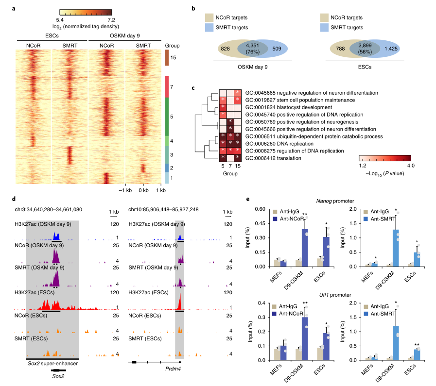 LC-MS/MS蛋白質(zhì)譜鑒定-客戶文獻-輝駿生物.png LC-MS/MS蛋白質(zhì)譜鑒定-客戶文獻-輝駿生物.png
