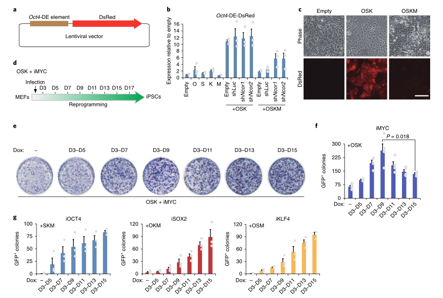 LC-MS/MS蛋白質(zhì)譜鑒定-客戶文獻-輝駿生物.png LC-MS/MS蛋白質(zhì)譜鑒定-客戶文獻-輝駿生物.png