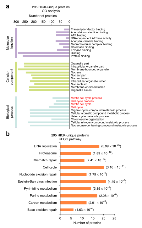 LC-MS/MS蛋白質(zhì)譜鑒定-客戶文獻(xiàn)-輝駿生物.png LC-MS/MS蛋白質(zhì)譜鑒定-客戶文獻(xiàn)-輝駿生物.png