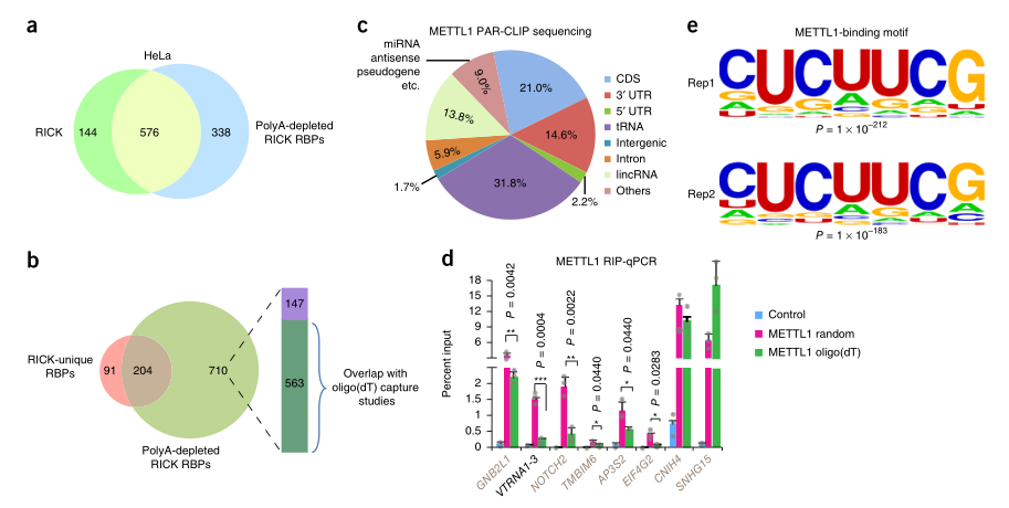 LC-MS/MS蛋白質(zhì)譜鑒定-客戶文獻(xiàn)-輝駿生物.png LC-MS/MS蛋白質(zhì)譜鑒定-客戶文獻(xiàn)-輝駿生物.png