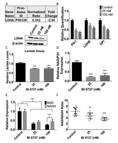 1636084418903665.png 圖片.png