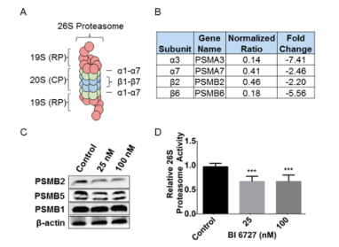 1636084458127769.png 圖片.png