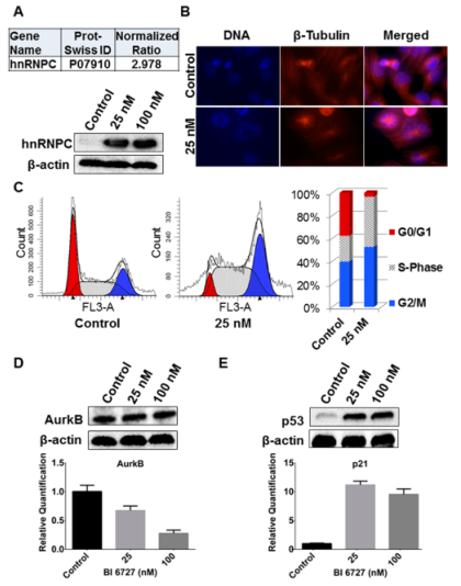 1636084513170918.png 圖片.png