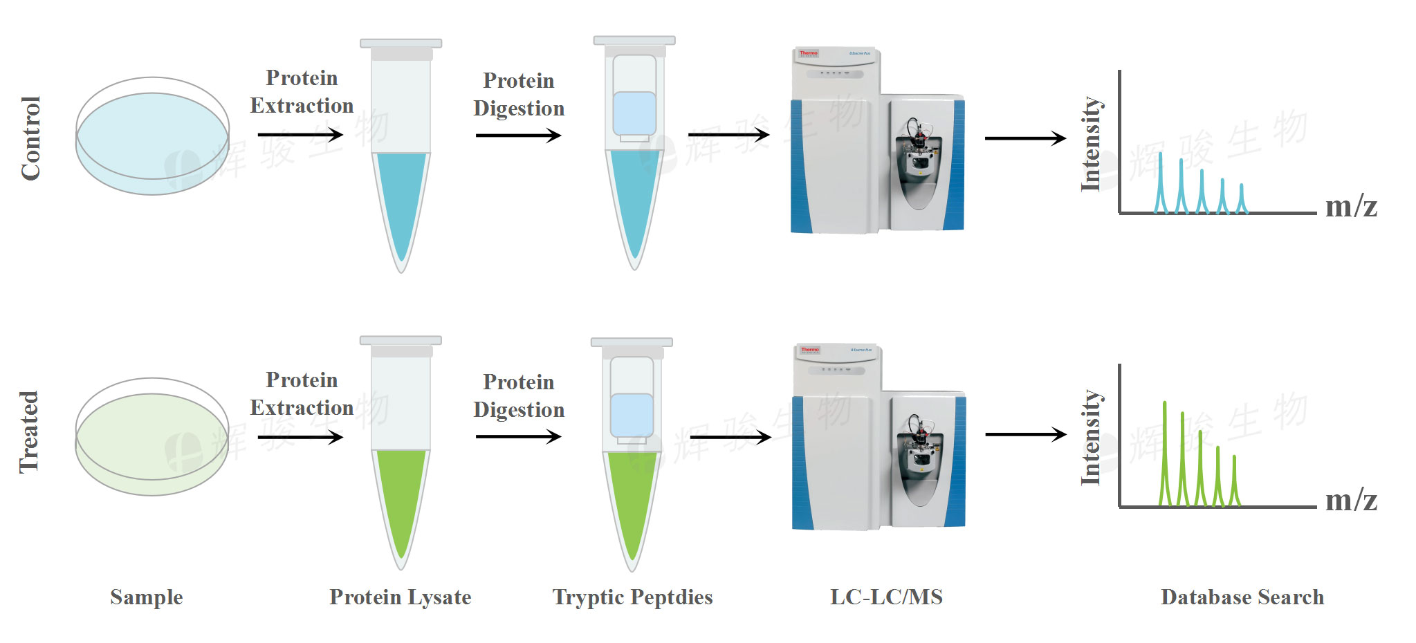 label free蛋白_label free技術(shù)服務(wù)價(jià)格_label free蛋白組學(xué)檢測(cè).jpg label free蛋白_label free技術(shù)服務(wù)價(jià)格_label free蛋白組學(xué)檢測(cè).jpg
