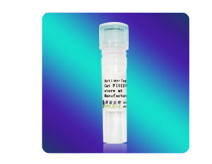 [FI01105] Anti-Myc小鼠單克隆抗體