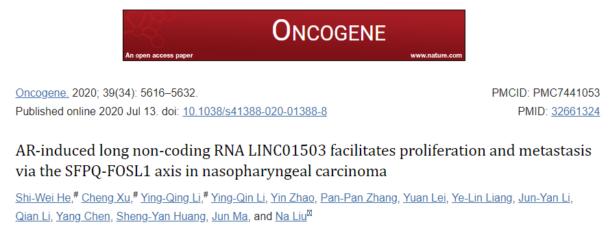 蛋白檢測和分析服務-LC-MS/MS蛋白質譜鑒定實驗客戶文章-輝駿生物