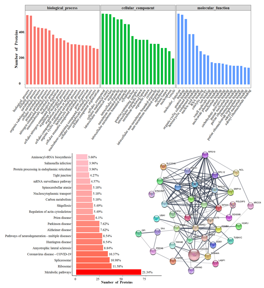 1683873405726290.jpg RNA pull down生信分析結(jié)果.jpg