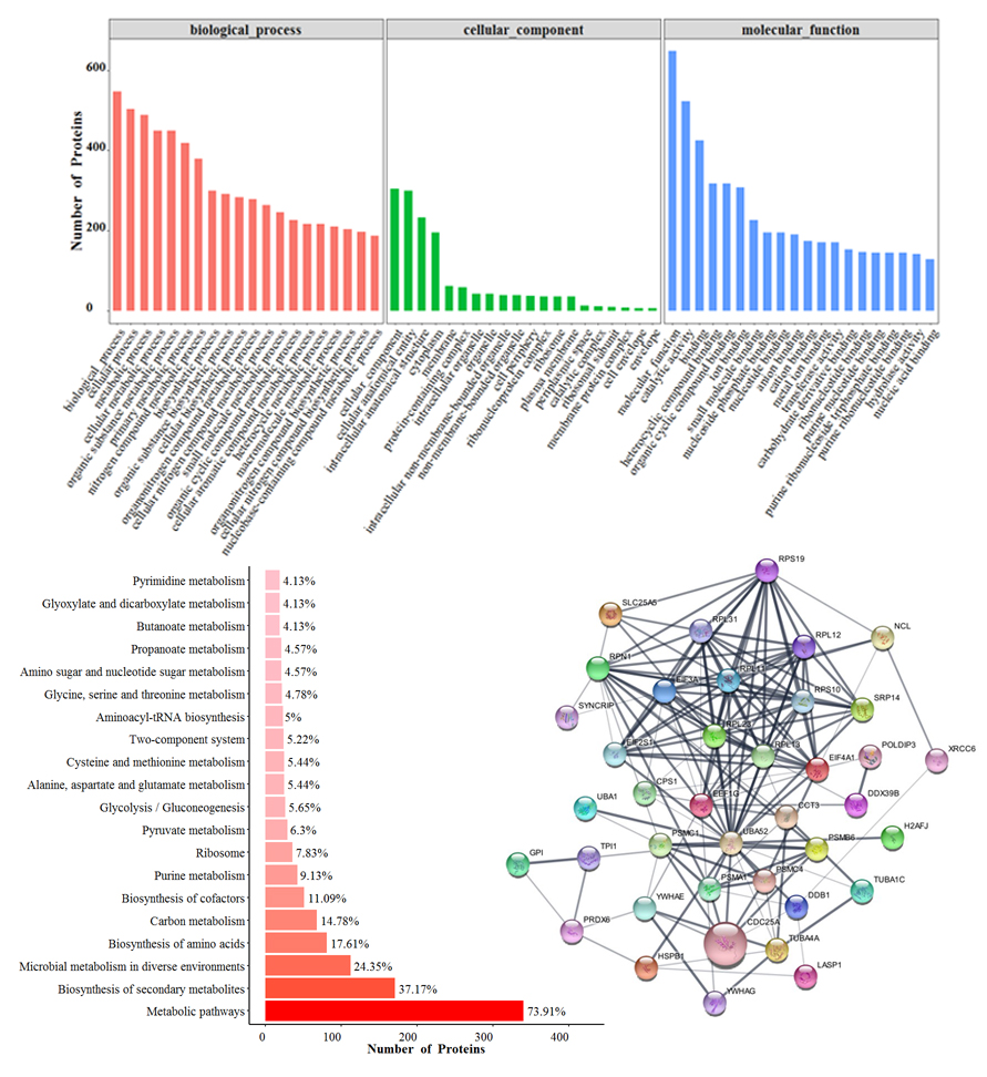 1683961119511088.jpg pull down生信分析結(jié)果.jpg