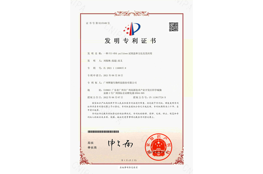 circRNA pull down發(fā)明專利證書—輝駿生物 circRNA pull down發(fā)明專利證書—輝駿生物