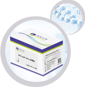 RNA pulldown試劑盒 GST pulldown試劑盒 coip試劑盒 flag試劑盒 .jpg RNA pulldown試劑盒 GST pulldown試劑盒 coip試劑盒 flag試劑盒 .jpg