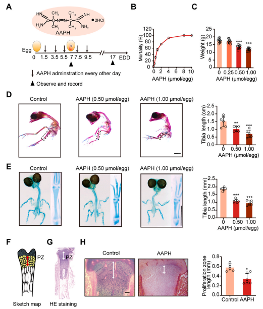 1686291985850738.png 圖片1.png