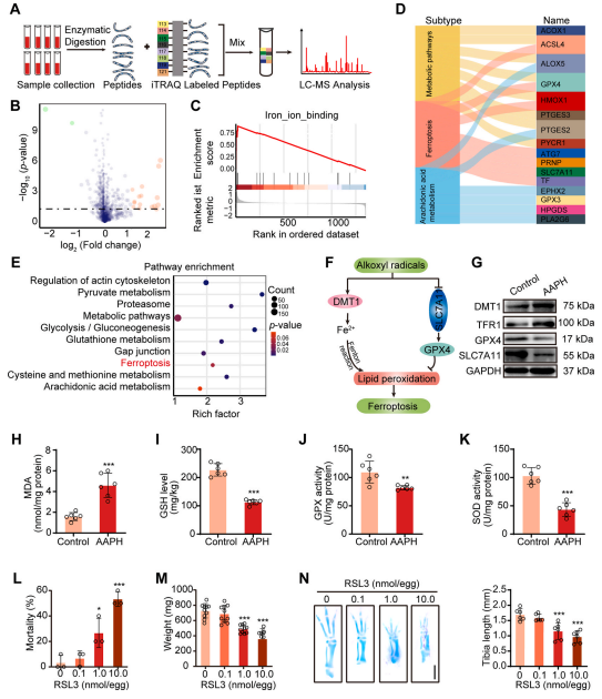 1686292004702967.png 圖片2.png