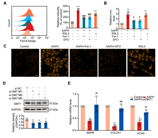 1686292047823585.png 圖片5.png