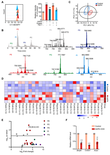 1686292071555109.png 圖片6.png