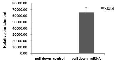 輝駿生物miRNA pull down qPCR檢測結(jié)果(陽性) 輝駿生物miRNA pull down qPCR檢測結(jié)果(陽性)