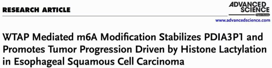 輝駿生物RNA pulldown試劑盒客戶文獻(xiàn).png 輝駿生物RNA pulldown試劑盒客戶文獻(xiàn).png