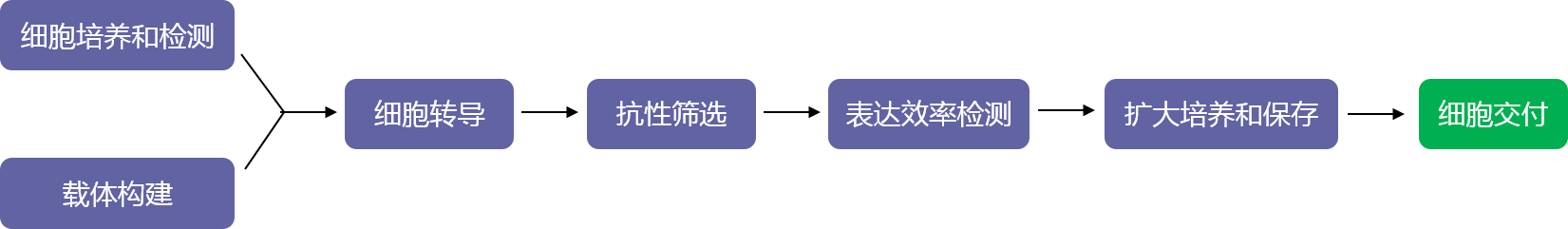 基因表達(dá)穩(wěn)轉(zhuǎn)株構(gòu)建（轉(zhuǎn)座子系統(tǒng)）實驗流程-輝駿生物.png